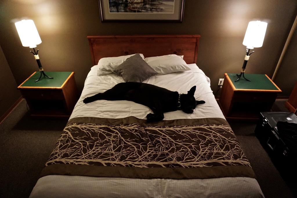 The Bamfield Motel Salmon Beach Eksteriør bilde
